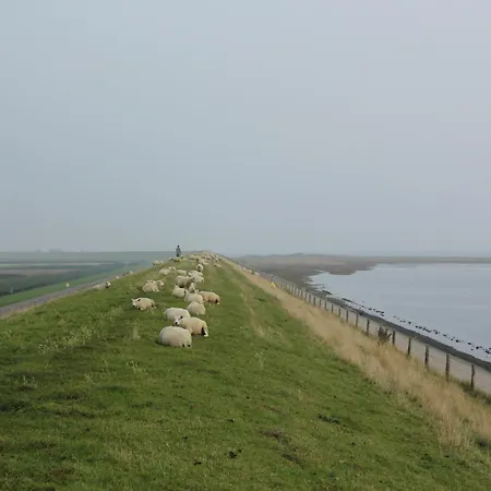 Vakantiehuis Modern In De Cocksdorp (Texel)
