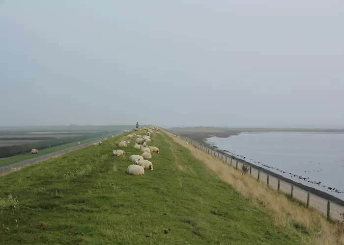 Ferienhaus Modern In De Cocksdorp (Texel)